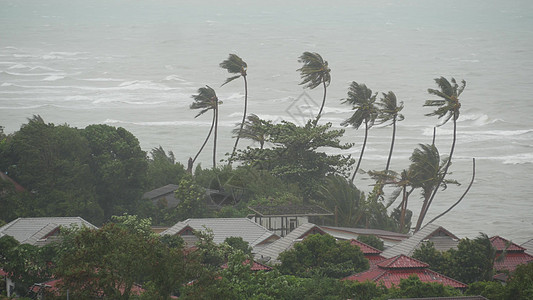 暴雨帕布台风 海洋海岸 泰国 自然灾害 眼墙飓风 强烈的极端气旋风摇曳着棕榈树 热带洪水雨季 强热带风暴天气 雷暴全球气旋风景灾难全背景