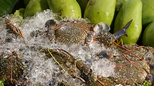 一大堆成熟的木瓜和生冷冻蟹 作为传统泰国汤香辣沙拉的冰块 (笑声)图片
