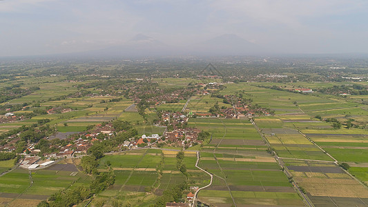 印度的稻田和农业用地面积旅行阳台环境热带场地乡村农场景观鸟瞰图村庄图片