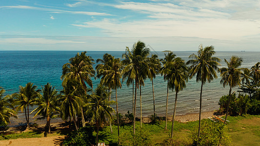 热带地貌 稻田和海洋 菲律宾卡米甘文化农场海岸线景观植物地平线海岸岛屿收成农业图片