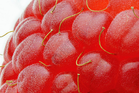 宏特写红草莓植物美食家矿物工作室醋栗水果浆果果味甜点树枝图片