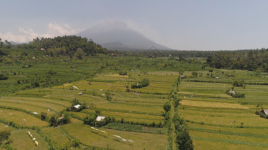 印度的稻米梯田和农用土地植物阳台鸟瞰图热带旅行农业稻田乡村场地农场图片