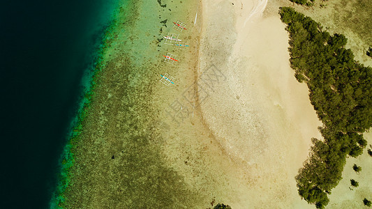 热带岛屿 沙沙滩 菲律宾帕拉万海洋森林游客海景珊瑚礁风景海岸景观理念旅游图片