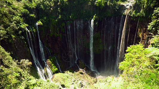 森林航拍印度尼西亚镜头森林风景叶子瀑布绿色丛林航拍棕榈科班背景