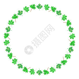 枫叶圆框 绿色抽象圆形边框 由圈子做的春天叶子 春季横幅或背景的矢量设计图片