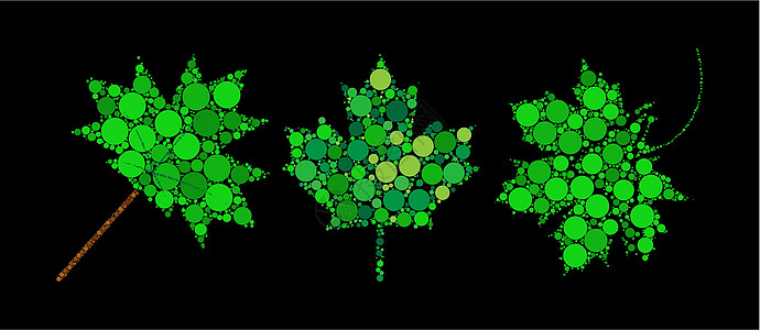 抽象的绿色枫叶 用点做的春天树叶 装饰点缀加拿大符号集 非常适合优雅和装饰性的贺卡或庆祝卡 在黑色上隔离的矢量图图片
