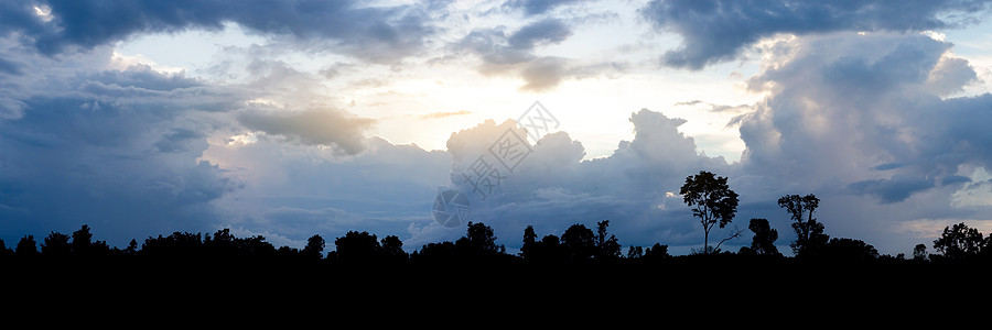 夜里有天空的树影环绕着大地风景黄色太阳地平线日落剪影橙子雨季旅行阳光图片