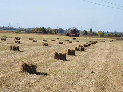 收割后有草篮的农业田场地国家土地金子粮食黄色农场稻草小麦收成图片