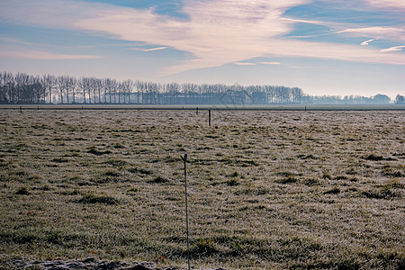 荷兰农地的寒冷清晨冰冻土地小路晴天场景季节树木森林环境旅行天空木头图片