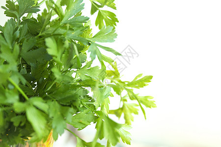 新鲜的冰淇淋 健康烹饪的季节草本植物绿色植物叶子草本香料食物白色营养农业图片