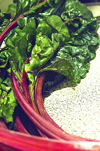 不做饭的新鲜红纸条叶子多叶绿色紫色食物彩虹收成乡村植物蔬菜图片