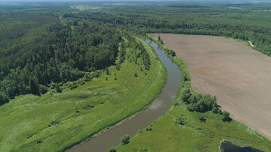 有河流和树木的风景木头环境土地农田溪流绿色森林叶子场景农村图片