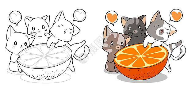 可爱猫和大橙黄色漫画彩色页面鼻子动物晶须卡通片哺乳动物插图耳朵宠物毛皮小猫图片