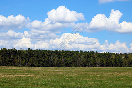 绿色森林和白云对蓝天的景色很好 有选择地聚焦图片