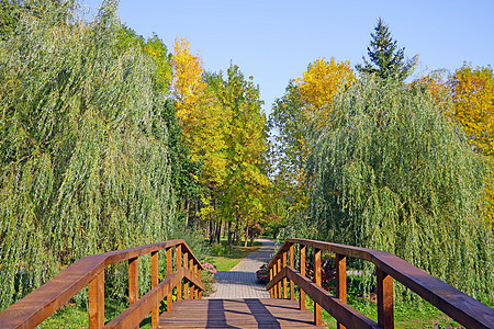 公园池塘上的一座小桥图片