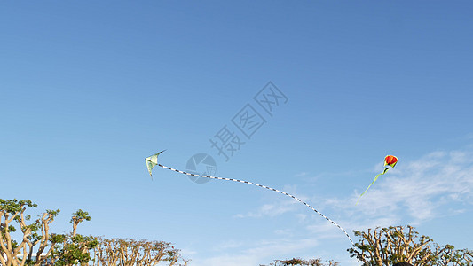 在美国加利福尼亚州圣地亚哥的公园 五颜六色的风筝在蓝天中飞过树木 孩子们多色玩具在风中滑翔在半空中 童年 夏季和休闲活动的象征蓝图片