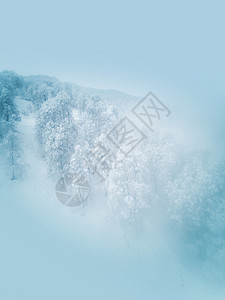 冬季山区的滑坡风景木头运动季节森林童话假期调子爬坡旅行图片