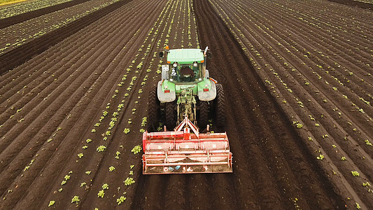 拖拉机耕种田地土地乡村耕地修炼者农业国家培育车辆土豆机械图片