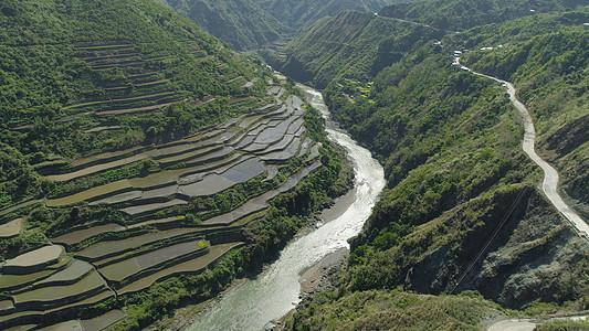 山区的稻田旅行农业土地地区悬崖顶峰森林场景爬坡植物图片