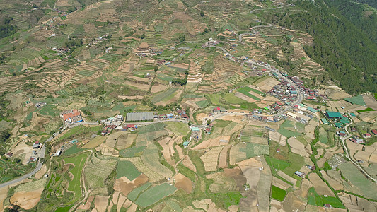 菲律宾一个山区省吕宋的农场 农地风景农业鸟瞰图顶峰植物爬坡场景阳台土地天空图片