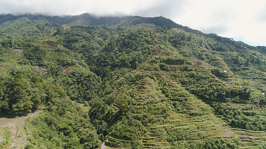 山区的稻田 菲律宾 巴塔德 班纳乌植物农场绿色风景场地悬崖天空爬坡森林农业图片