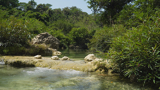 雨林中的河流热带冒险荒野溪流棕榈绿色情调异国叶子岩石图片