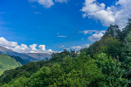山岳景观 树木与蓝天空对立 云彩相伴海拔蓝色领土旅行旅游高度绿色植物群植被植物图片