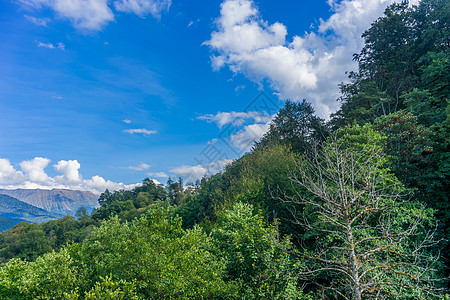 山岳景观 树木与蓝天空对立 云彩相伴自然植物群蓝色植被旅游海拔植物高度旅行绿色图片