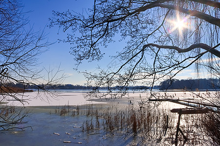 在德国阳光明媚的一天 雪在冰冻湖边覆盖了木制码头场景冰川木头金字塔公园假期风景天空海岸旅行图片
