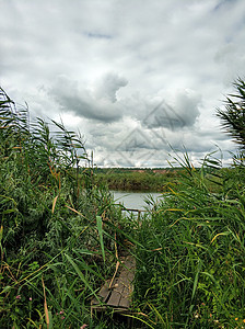 自然景观 一个静悄悄的隐密地点的池塘天空岩石全景植物反射晴天公园假期森林地平线图片