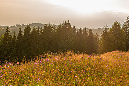 卡帕蒂山的夏季自然景观风景爬坡顶峰草地首脑冒险公园岩石场地旅行图片