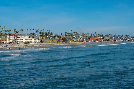 在海边海滩的夏日旅行游客海洋海岸线支撑活动晒黑棕榈城市波浪图片
