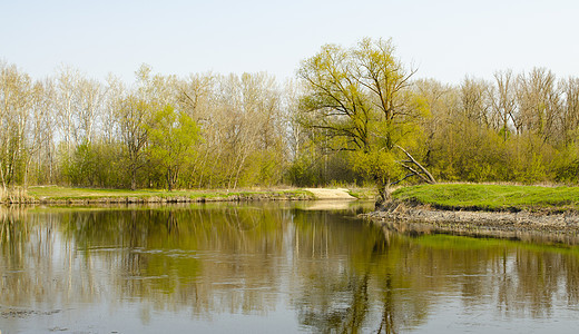 春天风景 有一条河流和一棵树林 在河中反射石头场景森林岩石环境旅行全景季节蓝色晴天图片