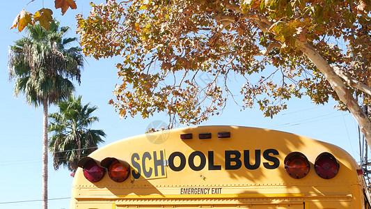 美国加利福尼亚州洛杉矶的黄色标志性校车 学生后视的经典卡车 儿童交通安全的车辆红绿灯 郊区儿童公共客运学习标准知识文化青年摩托车图片
