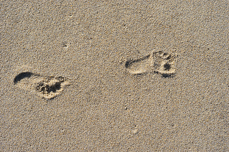 沙土的自然背景和人脚的印迹足迹沙滩脚印假期海滩人类背景图片