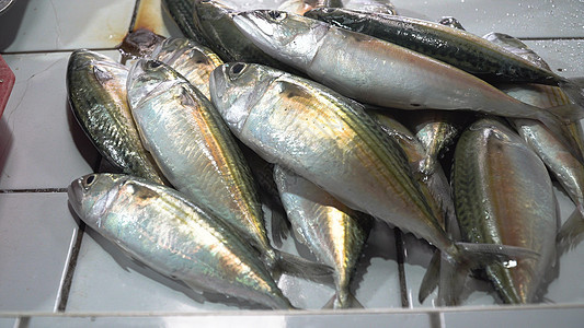 亚洲市场的鱼类热带团体海洋店铺销售零售街道食物海鲜图片