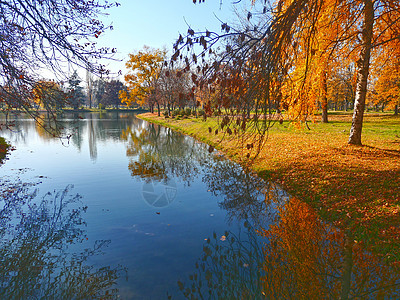 秋秋秋秋瀑布景象树蓝色叶子太阳池塘反射风景橙子树木公园阳光图片