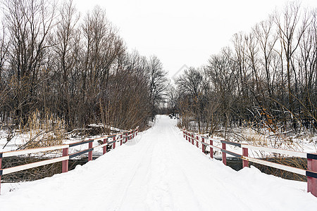 在雪覆盖的森林中横渡河流的冬季道路途径地球场景天桥蓝色建筑学状况公园季节天空图片