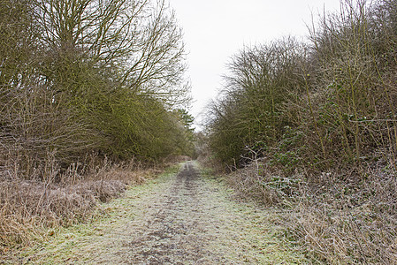 冬季通过农村农村地貌的足足路径图片
