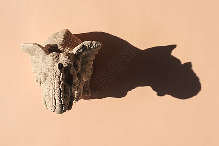 大象雕像 平面背景有硬阴影 从上方的视图 用于图案的空白公园旅游玩具热带塑像冒险旅行摄影师哺乳动物国家图片