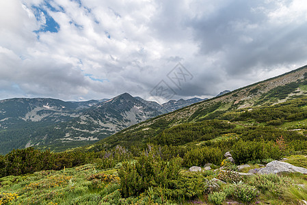 保加利亚皮林山令人惊叹的景观旅行太阳皮林储备环境衬套爬坡假期踪迹远足图片