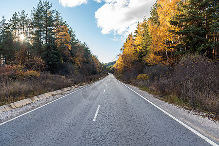 秋天 两边有美丽的树林的平面道路森林环境民众旅行驾驶运输树木风景树叶季节图片