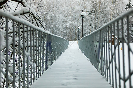 在雪覆盖的冬季公园中 有护栏的桥梁图片