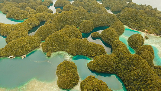 菲律宾索霍顿湾岛的热带环礁湖 海洋 海滩天堂旅行鸟瞰图棕榈岩石航空海岸石头蓝色木头图片