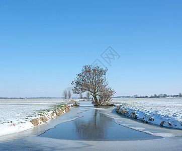 雨雪覆盖的草原风景 有树和冰冻的河渠农村草地风车农家农场场景牧场国家天气植物群图片