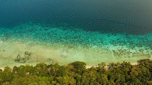 带椰子树和绿宝石环礁湖的景观旅游旅行支撑海水假期天蓝色海景阳光树木风景图片