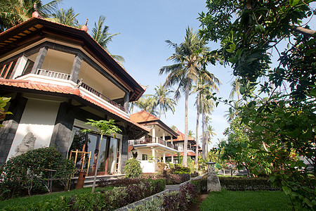 热带风景 棕榈树 酒店海洋旅行海滩假期建筑棕榈天空背景图片