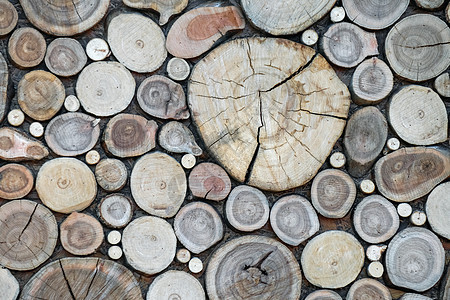 墙上的锯木作为背景柴堆棕色日志树木材料森林树干木材图片