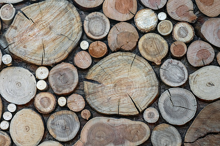 墙上的锯木作为背景树木森林棕色日志材料木材柴堆树干图片