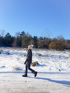 荷兰冬季天气期间由在荷兰覆盖的自然公园积雪远足天空地面农村荒野蓝色女士森林小路地毯图片